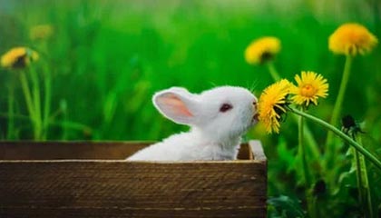 开云在线直播-VALORANT 青训新人首次登场 表现超出预期，valorant发布